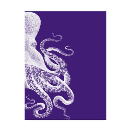 Fab Funky 'Octopus Purple And Cream B' Canvas Art,18x24